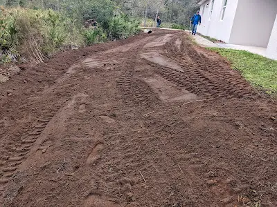 Land Clearing Land Clearing