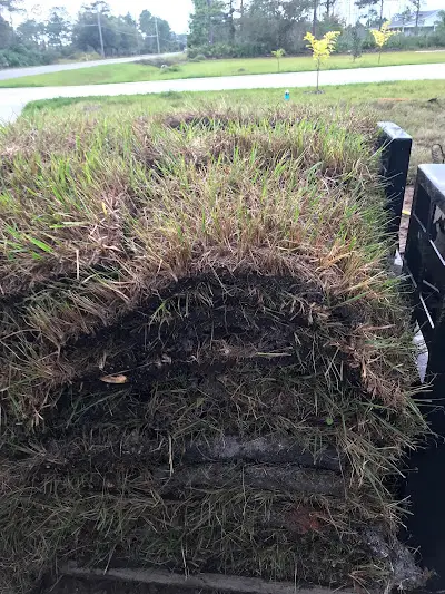 Sod Installation Sod Installation