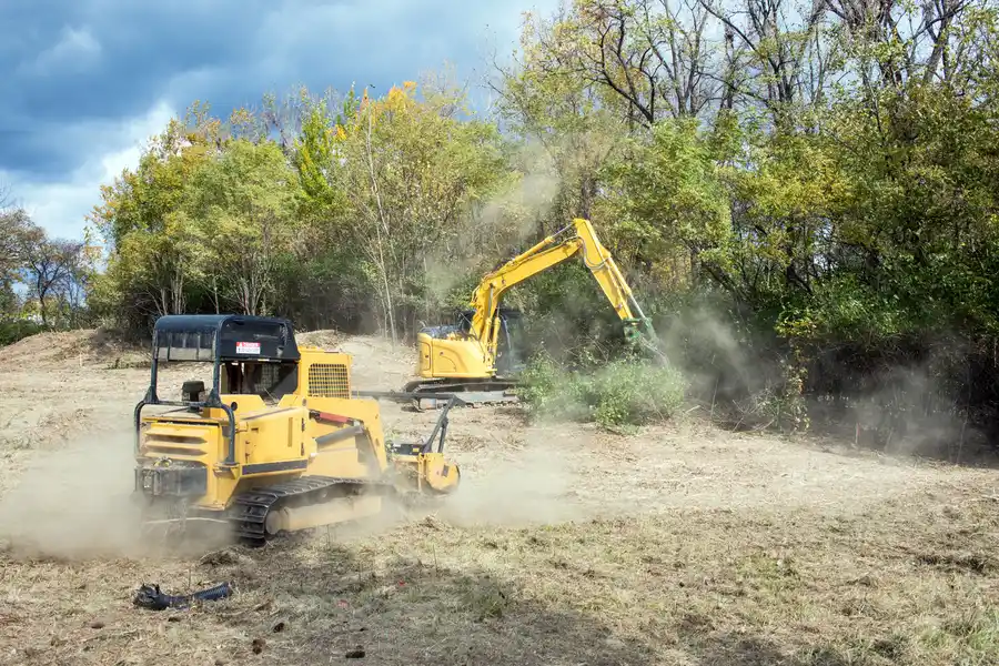 Affordable Land Clearing St. Cloud FL Affordable Land Clearing St. Cloud FL