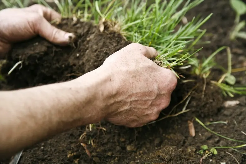 Expert Sod Installation St. Cloud FL Expert Sod Installation St. Cloud FL