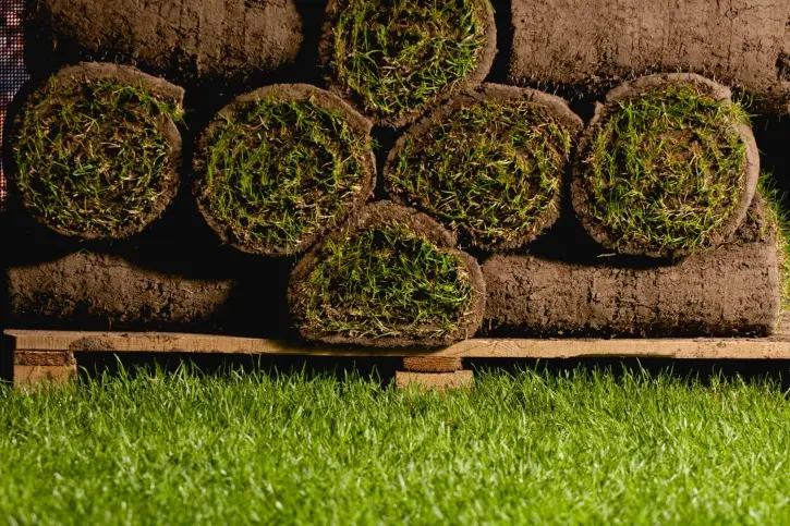Professional Sod Installation St. Cloud FL Professional Sod Installation St. Cloud FL