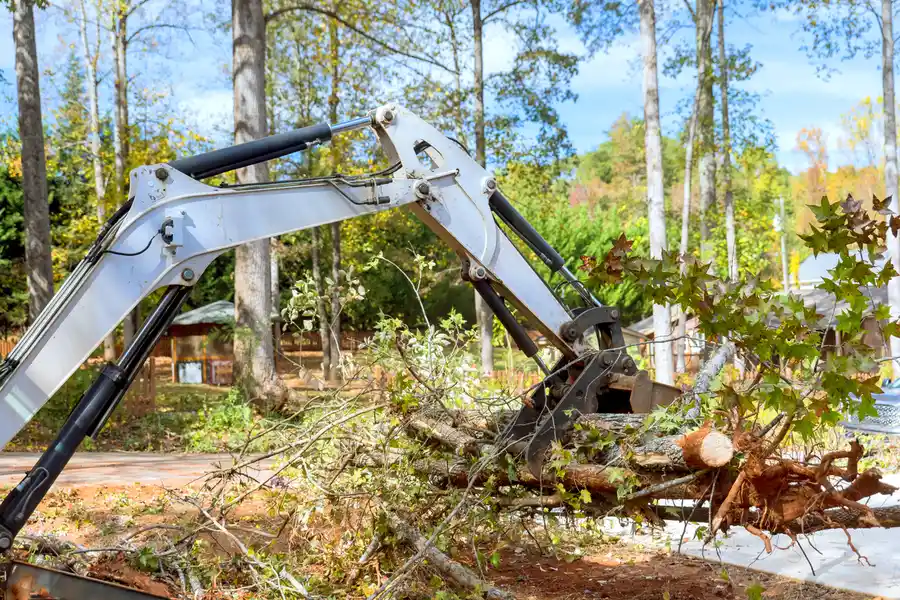 Reliable Land Clearing St. Cloud FL Reliable Land Clearing St. Cloud FL