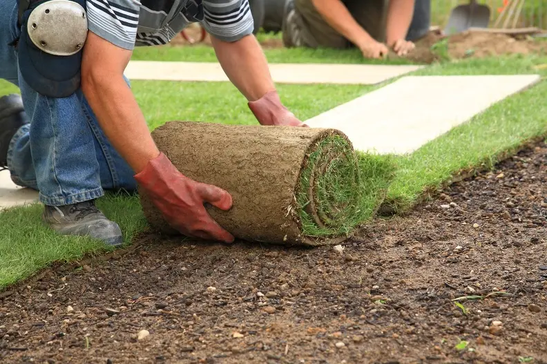 Steps To Maintain A Lawn After Sod Installation St. Cloud FL Steps To Maintain A Lawn After Sod Installation St. Cloud FL