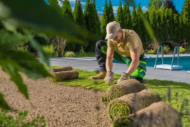 Steps To Maintain A Lawn After Sod Installation in St. Cloud FL Steps To Maintain A Lawn After Sod Installation in St. Cloud FL