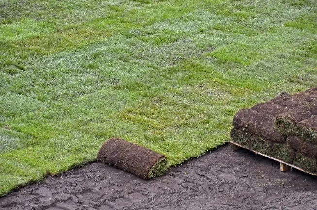 Top-rated Sod Installation St. Cloud FL Top-rated Sod Installation St. Cloud FL